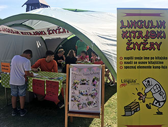 Lingulin kitajski živžav v Arboretumu 2016 4 Lingulin kitajski živžav v Arboretumu