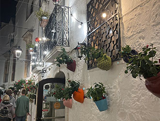 Potovanje po prelepi Apuliji (Puglia) - kaj si ogledati 228 Lingula | Alberobello