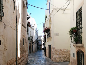 Potovanje po prelepi Apuliji (Puglia) - kaj si ogledati 208 Lingula | Altamura