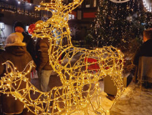 Odkrijte čar božičnih sejmov po Evropi – kjer tradicija sreča tuje jezike 97 Lingula I bozični sejmi po Evropi
