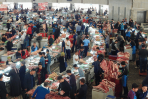 Uzbekistan – potovanje, ki te prevzame s pristnostjo 259 Lingula I Potovanje Uzbekistan Taskhent