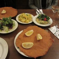 Obisk Dunaja z otroki 85 Lingula I Dunaj